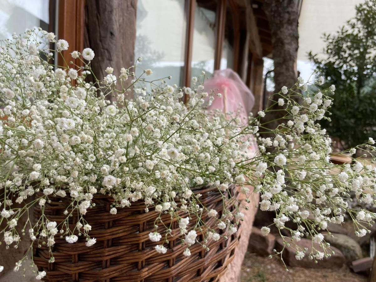 El Rincon De Golobar En Branosera エクステリア 写真