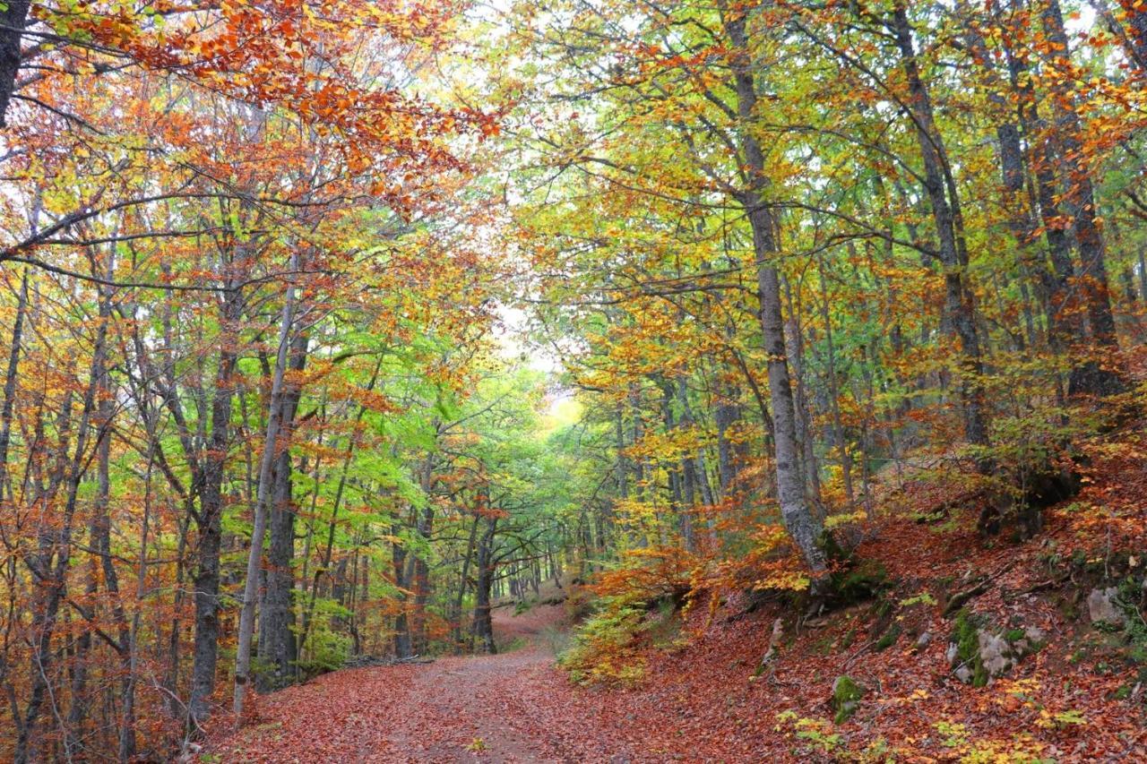 El Rincon De Golobar En Branosera エクステリア 写真